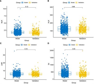 Preoperative risk stratification for patients with ≤ 1 cm papillary thyroid carcinomas based on preoperative blood inflammatory markers: construction of a dynamic predictive model